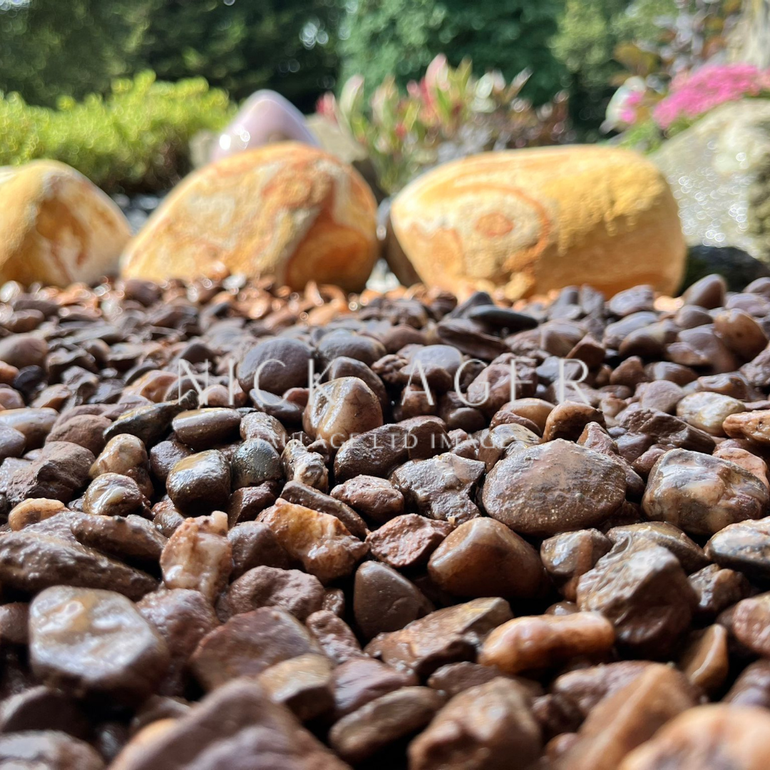 A close-up view of small brown decorative pebbles with larger golden rocks in the background, showcasing a garden setting.