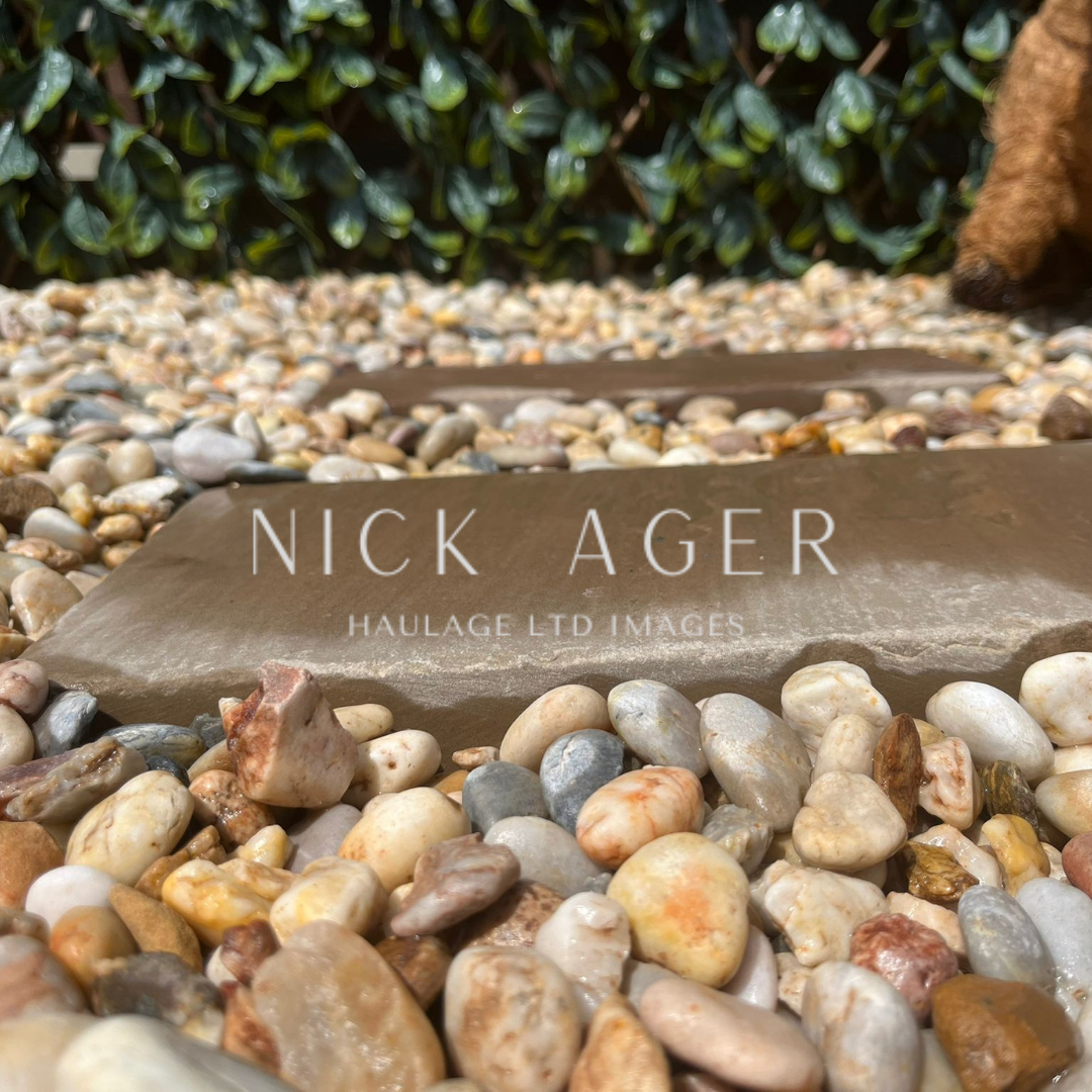 Close-up view of a garden pathway made of stones, surrounded by pebbles of various colours, with a background of green foliage