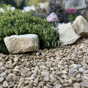 A serene garden scene featuring decorative stones, pebbles, and lush green foliage in the background.