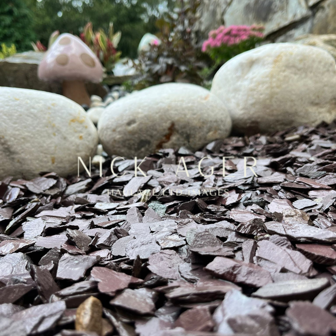 Close-up of dark purple landscaping stones with smooth white pebbles and a decorative mushroom in a garden setting.