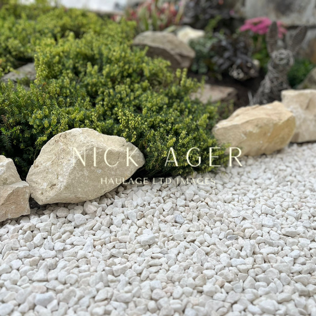 Close-up view of a garden area featuring white gravel, large rocks, and green foliage.