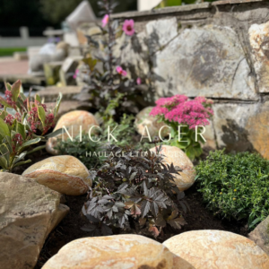A close-up view of a garden featuring vibrant pink flowers, dark foliage plants, and smooth stones, with a blurred background of greenery.
