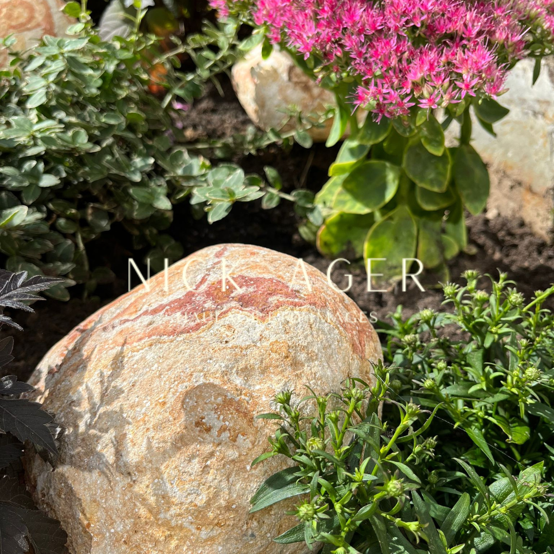 A large decorative rock with reddish stripes surrounded by various green plants and bright pink flowers in a garden setting.