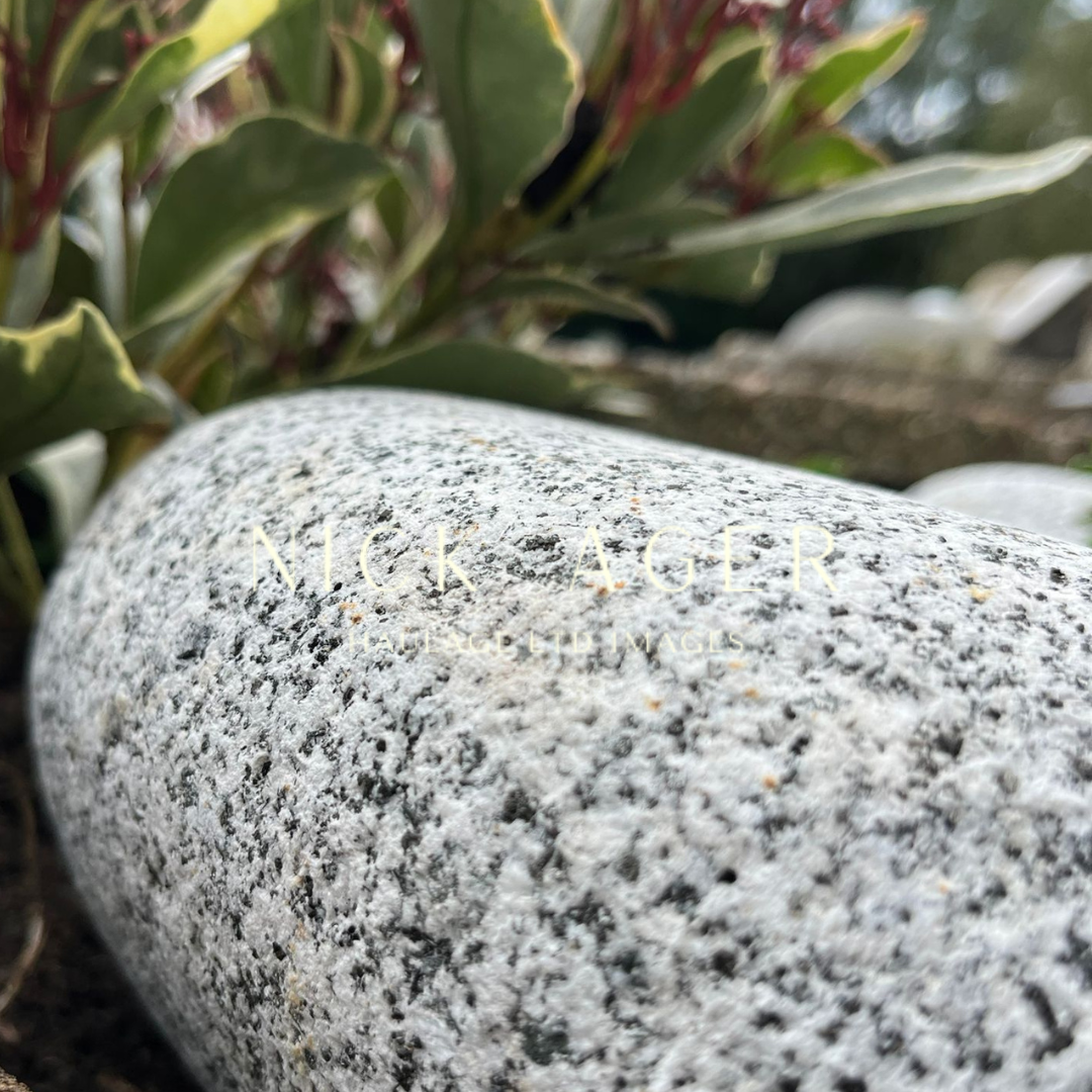 Close-up view of a polished granite stone with a textured surface, surrounded by green foliage in a natural setting.