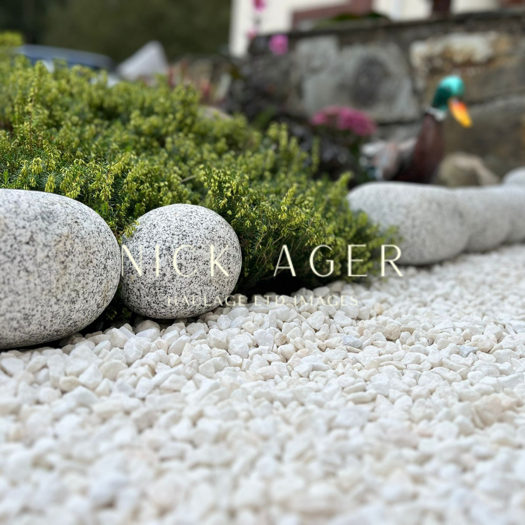 A close-up view of a landscaped garden featuring smooth grey pebbles, white gravel, and lush green plants, with a background hinting at a garden ornament.